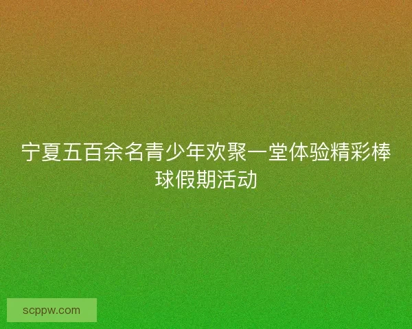 宁夏五百余名青少年欢聚一堂体验精彩棒球假期活动